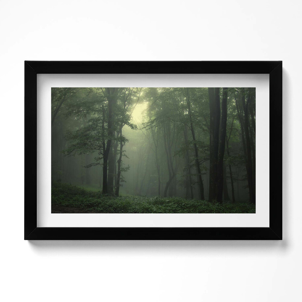 Tablou living cu rama original Pădurea încețoșată dimineața