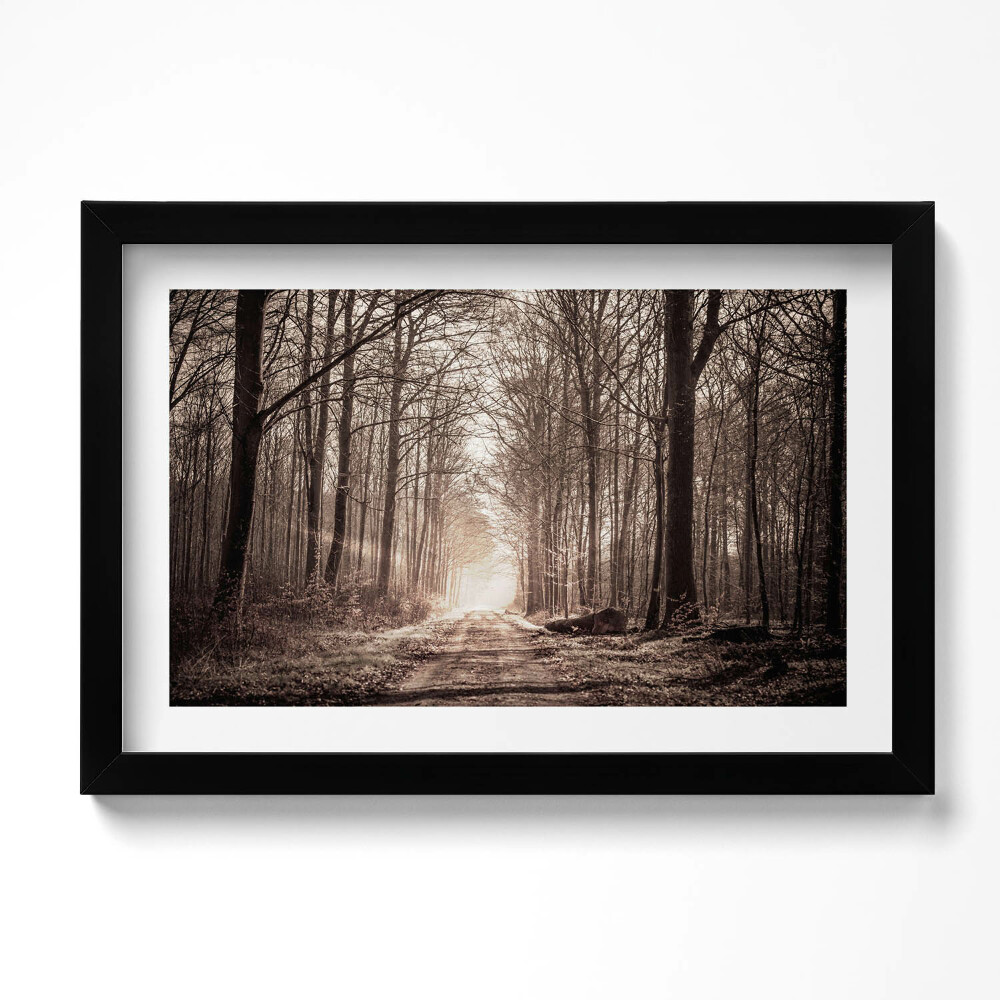 Tablou living cu rama original Cale de pădure în tonuri sepia