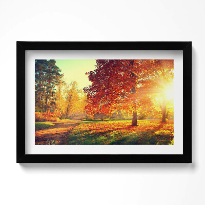 Tablou living cu rama original Parc de toamnă