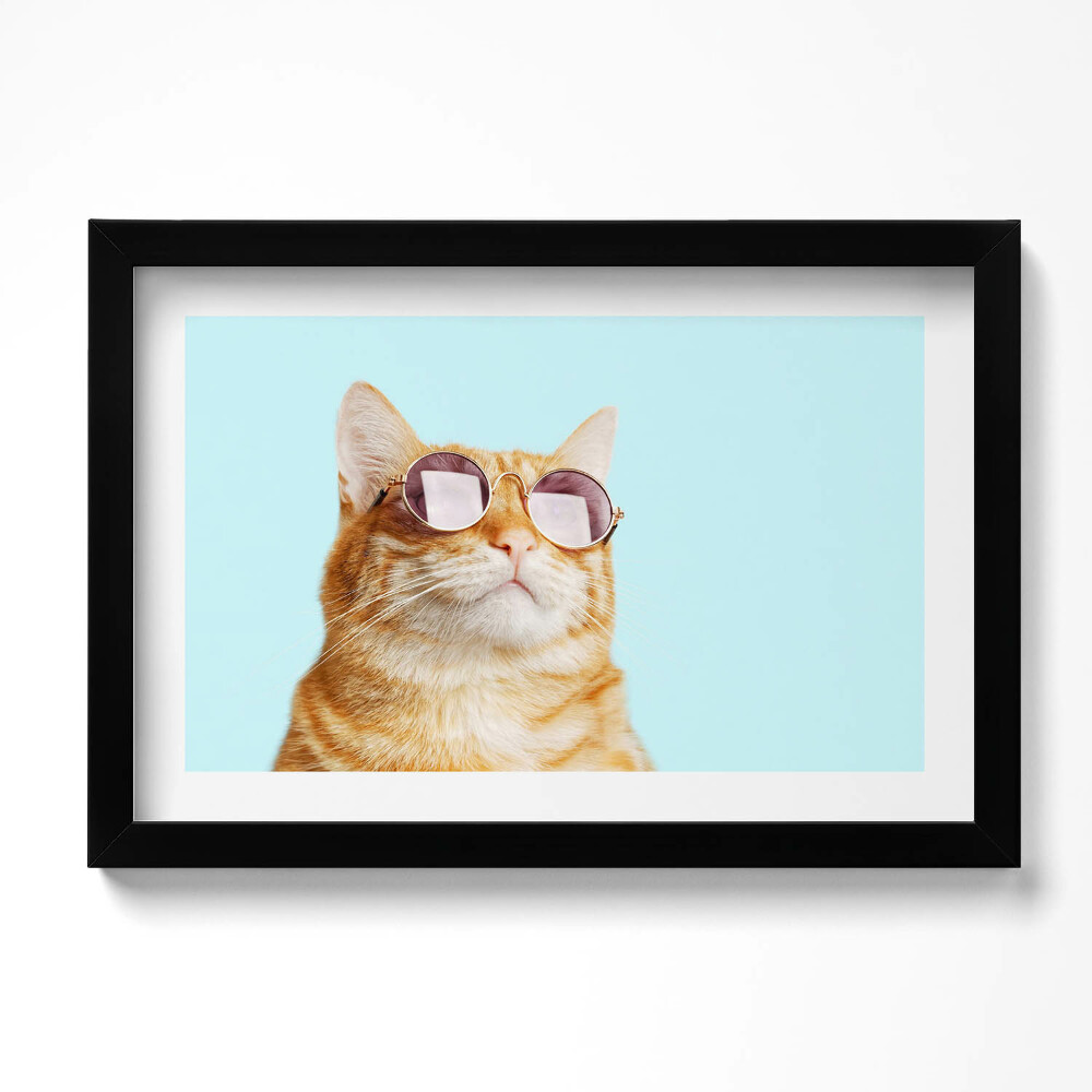 Tablou living cu rama original Pisică amuzantă cu ochelari