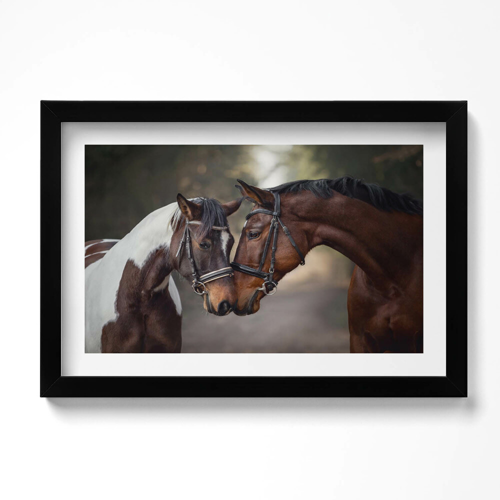 Tablou rama original Portret de cai în pădure