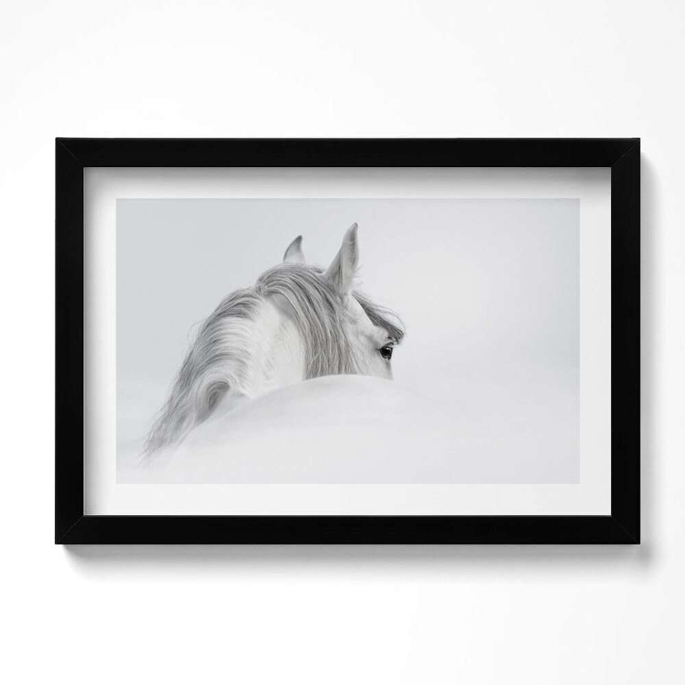 Tablou living cu rama original Cal andaluz în ceață