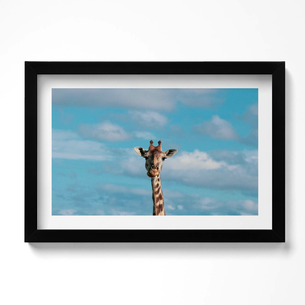 Tablou living cu rama original Cap de girafă pe cer