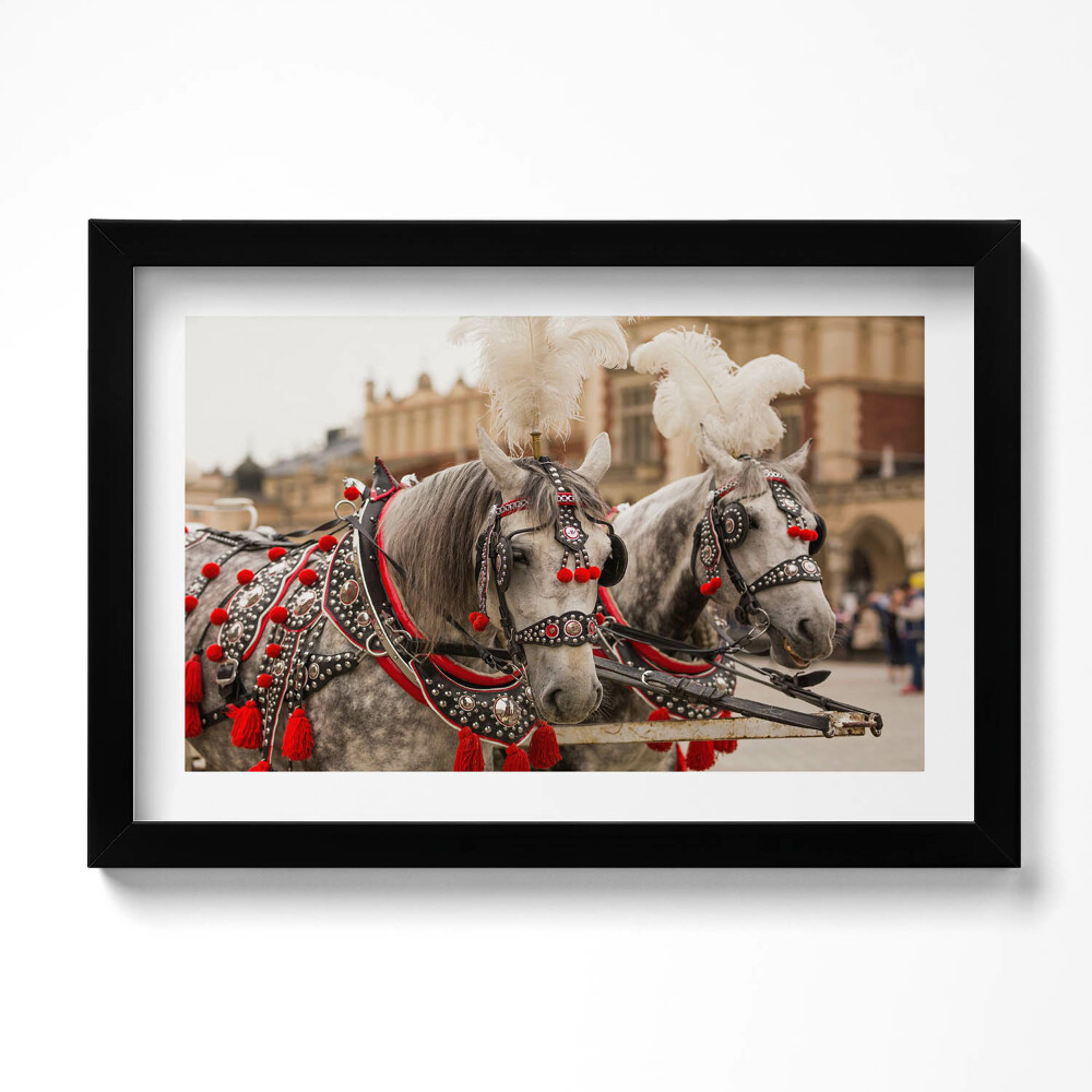 Tablou rama original Cai frumoși în Cracovia