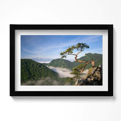 Tablou living cu rama original Vârful Sokolica din Munții Pieniny