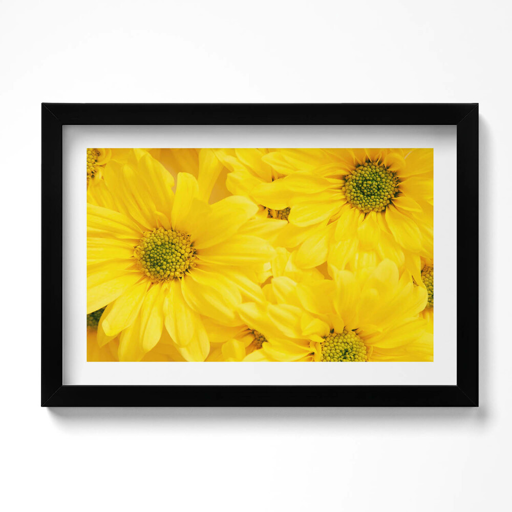 Tablou rama original Petale de flori