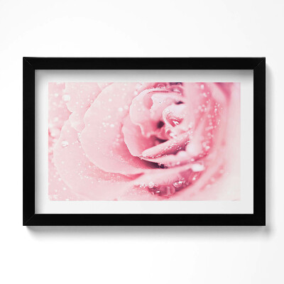 Tablou rama original Picături de rouă și flori de trandafir