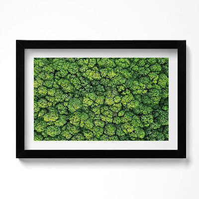 Tablou rama original Plante naturale mușchi