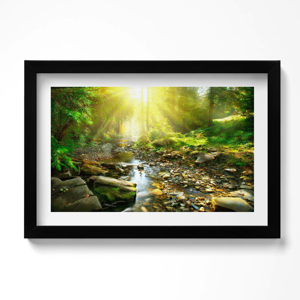 Tablou rama original Pârâu de pădure în razele soarelui
