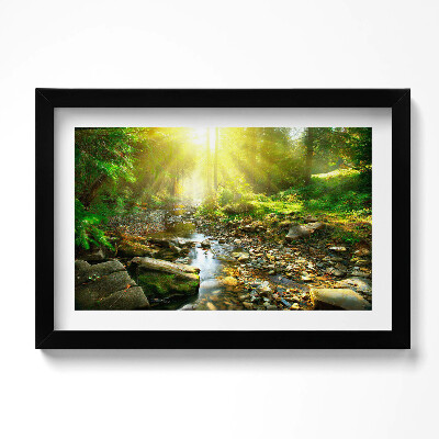 Tablou rama original Pârâu de pădure în razele soarelui