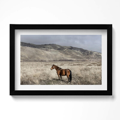 Tablou rama original Un cal călare printre iarbă