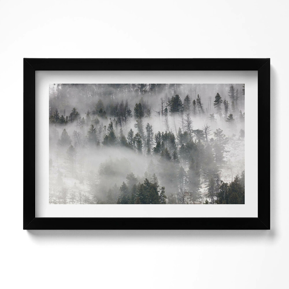 Tablou living cu rama original Peisaj de pădure cețos