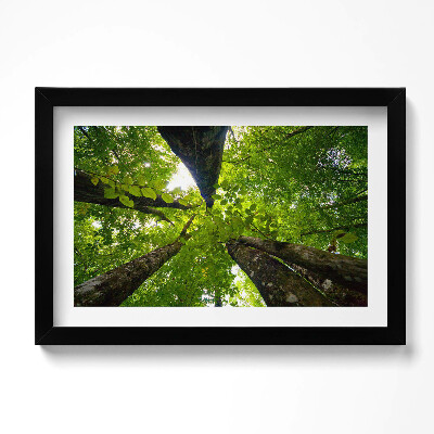 Tablou living cu rama original Copaci cu frunze verzi