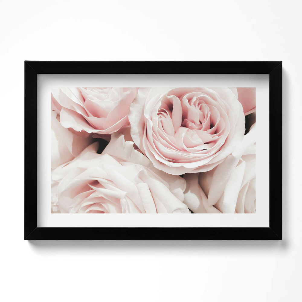 Tablou rama original Flori roz pal trandafiri delicati