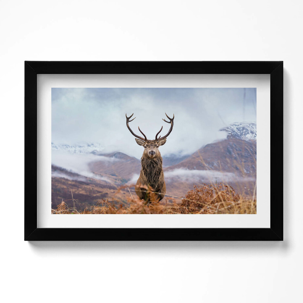 Tablou rama original Un cerb într-o poiană de munte