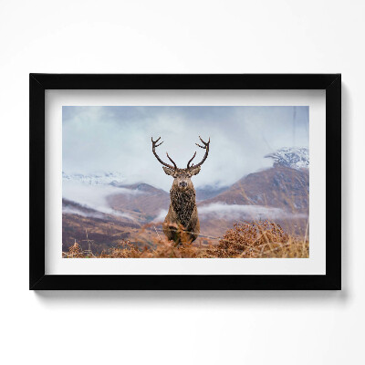 Tablou rama original Un cerb într-o poiană de munte