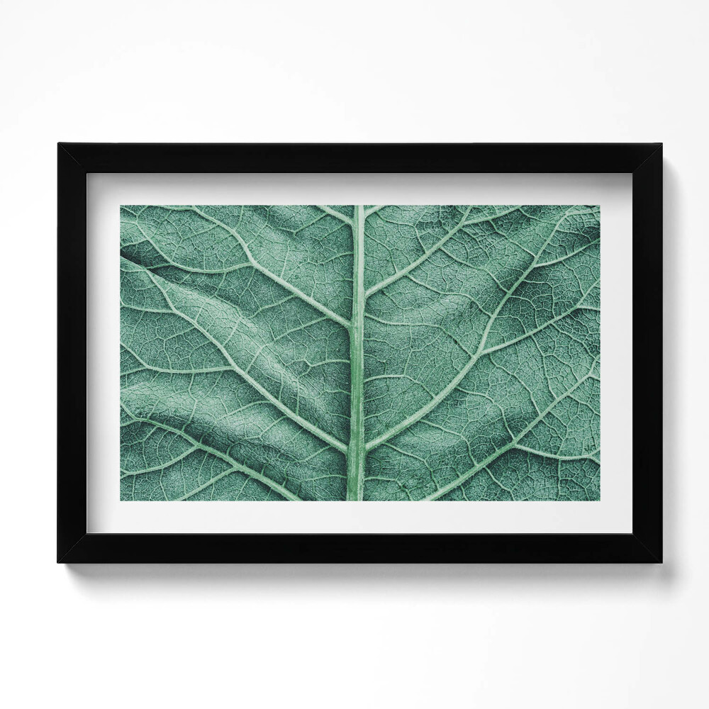 Tablou living cu rama original Prim-plan al nervurilor frunzelor