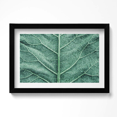Tablou living cu rama original Prim-plan al nervurilor frunzelor