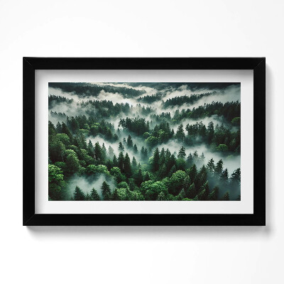 Tablou rama original Peisaj de ceață de dimineață în pădure