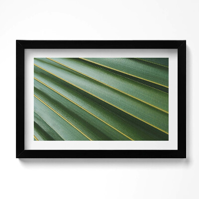 Tablou living cu rama original Textură de plantă verde