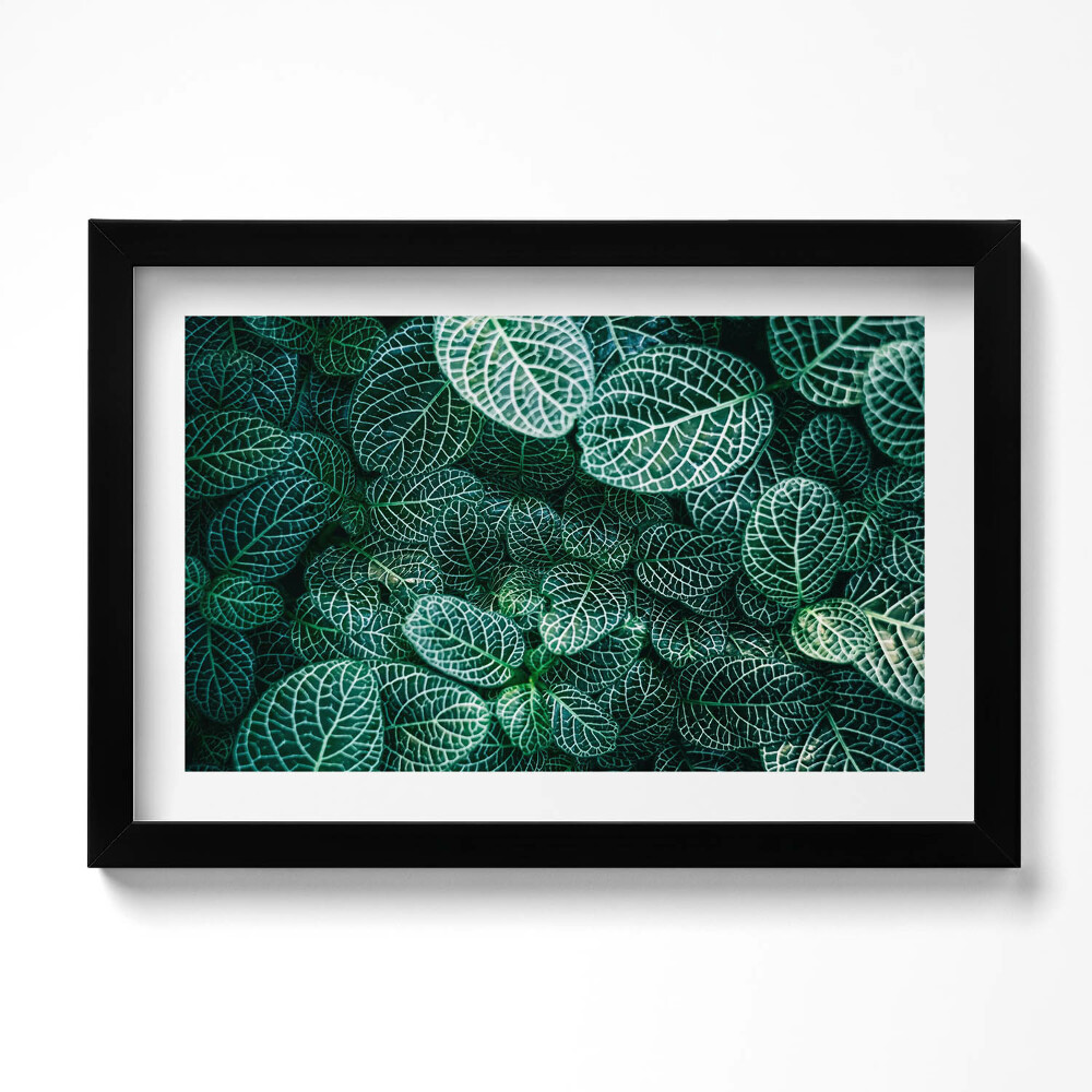 Tablou living cu rama original Frunze verzi sălbatice