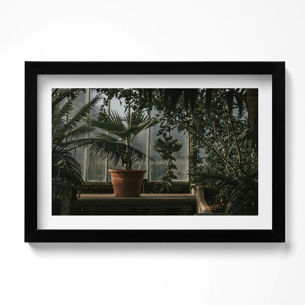 Tablou rama original Plante vintage pe fereastră