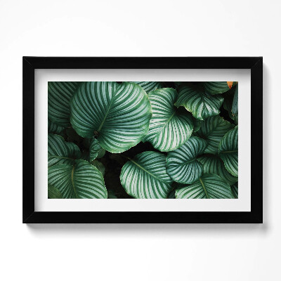 Tablou rama original Frunze mari și verzi