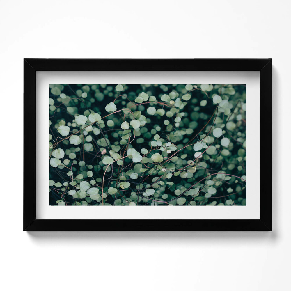 Tablou living cu rama original Frunzele mici ale plantei