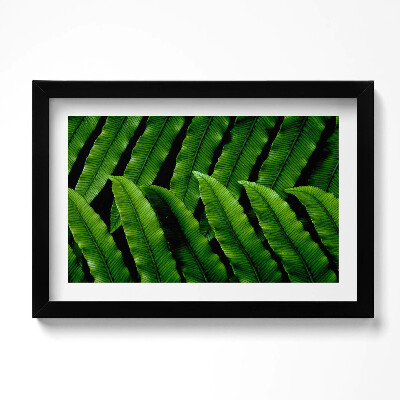 Tablou living cu rama original Frunze verzi de aproape