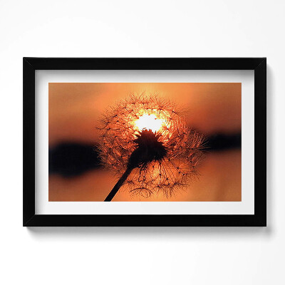 Tablou rama original Păpădie la apus