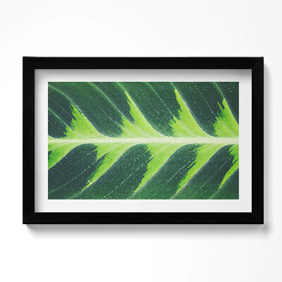 Tablou rama original Textura și nervurile frunzelor