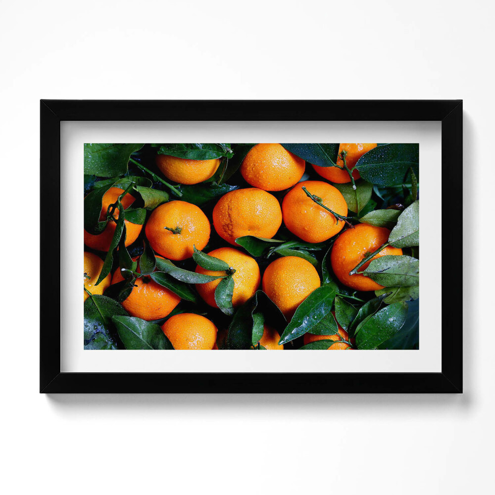 Tablou living cu rama original Portocale italiene coapte