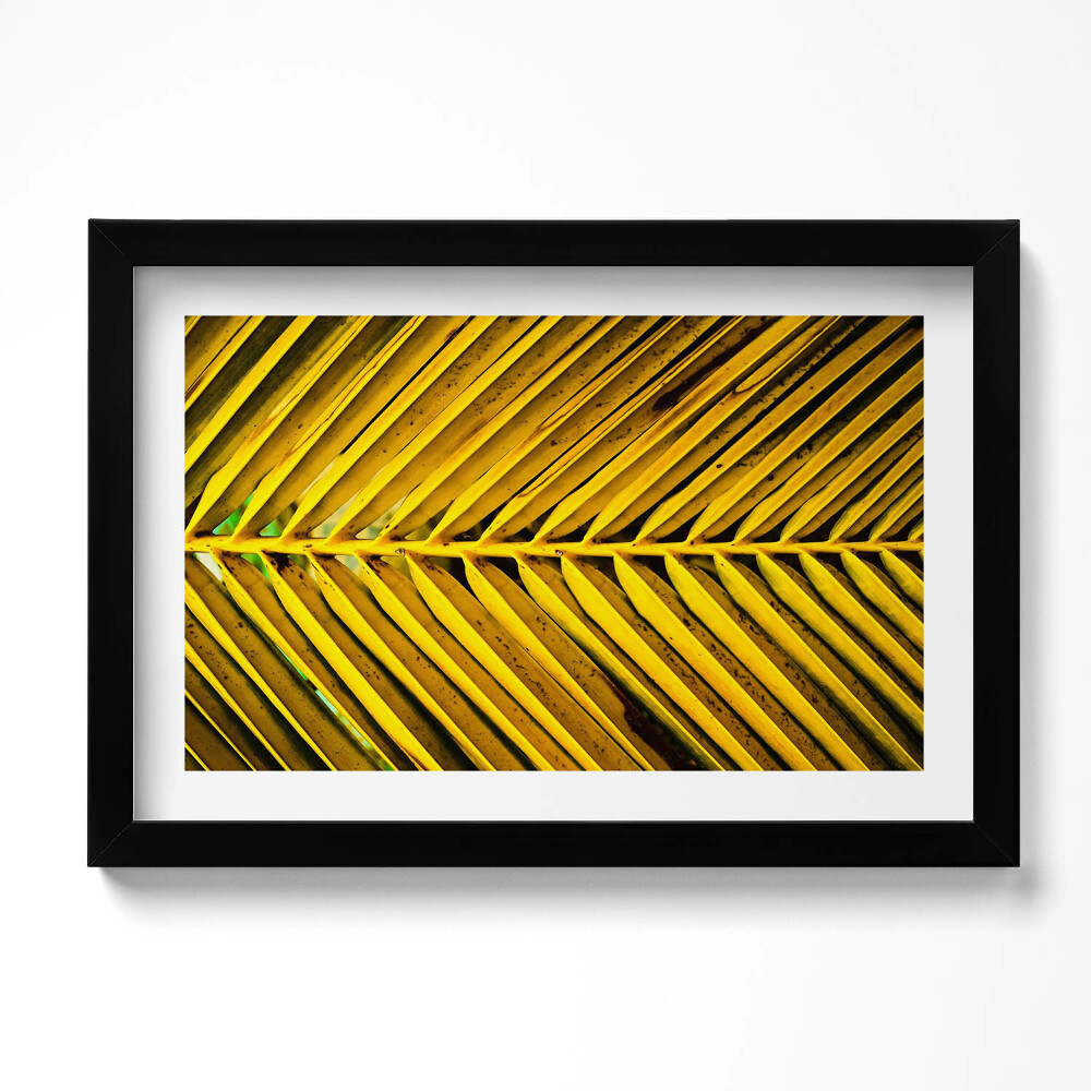 Tablou living cu rama original Frunzele aurii ale plantei