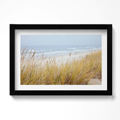 Tablou rama original Peisaj de plajă și iarbă de pe malul mării