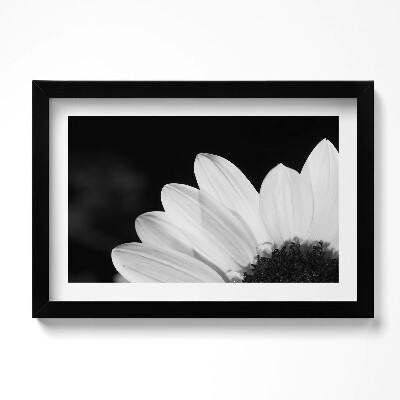 Tablou living cu rama original Petale de margarete în alb și negru