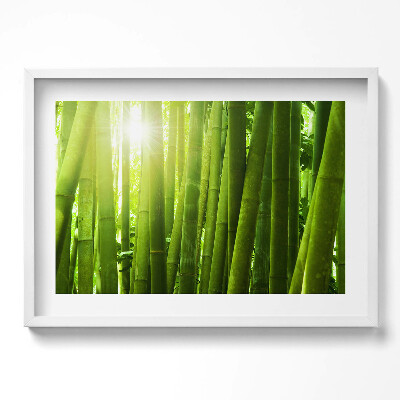 Tablou living cu rama excepţional Tulpini verzi de bambus