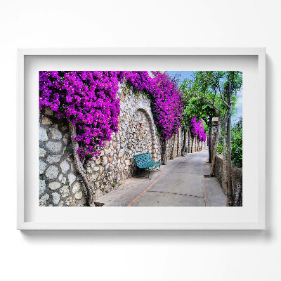 Tablou rama excepţional Calea cu flori în Capri, Italia