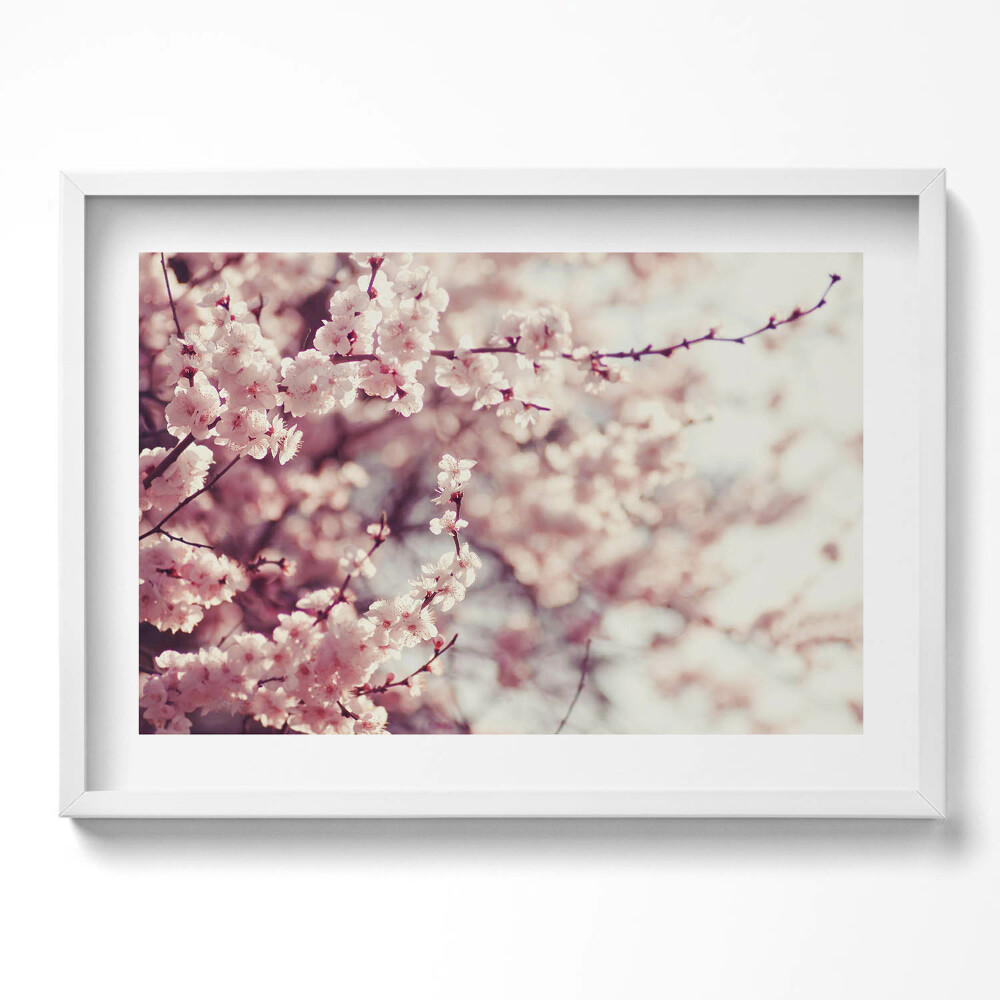 Tablou rama excepţional Flori de primăvară înflorite