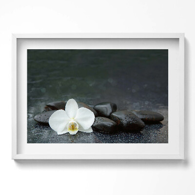 Tablou living cu rama excepţional Pietre zen cu flori albe