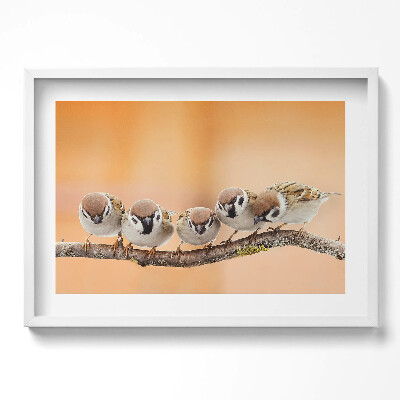 Tablou living cu rama excepţional Păsări pe o ramură