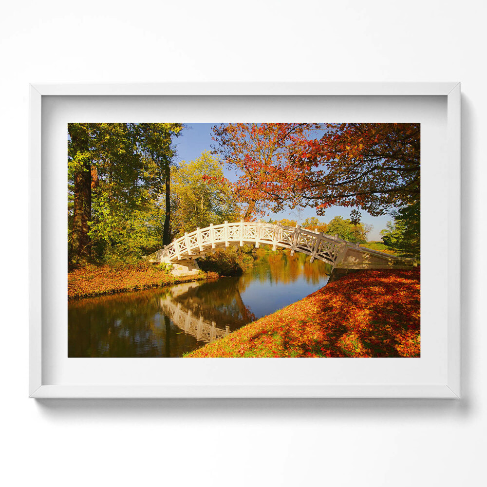 Tablou living cu rama excepţional Parcul Woerlitzer în Toamna Aurie
