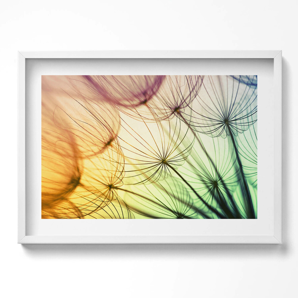 Tablou living cu rama excepţional Polen delicat de păpădie