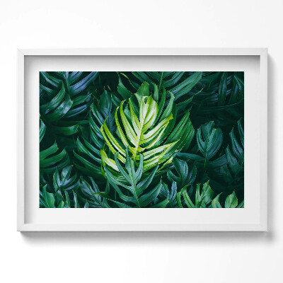 Tablou living cu rama excepţional Natură tropicală - frunze de monstera