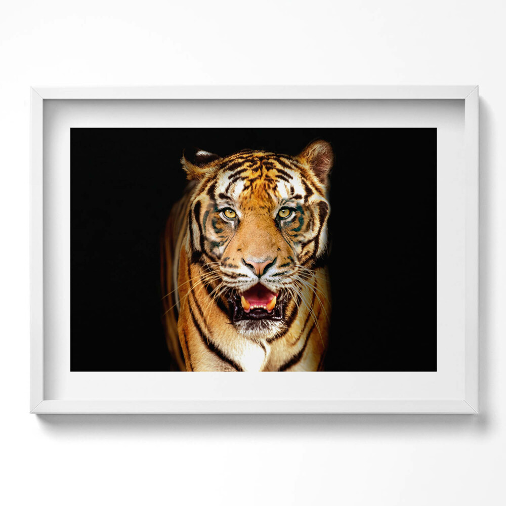 Tablou living cu rama excepţional O pisică tigru sălbatică distinctivă