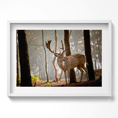 Tablou living cu rama excepţional Cerbi în strălucirea soarelui care răsare