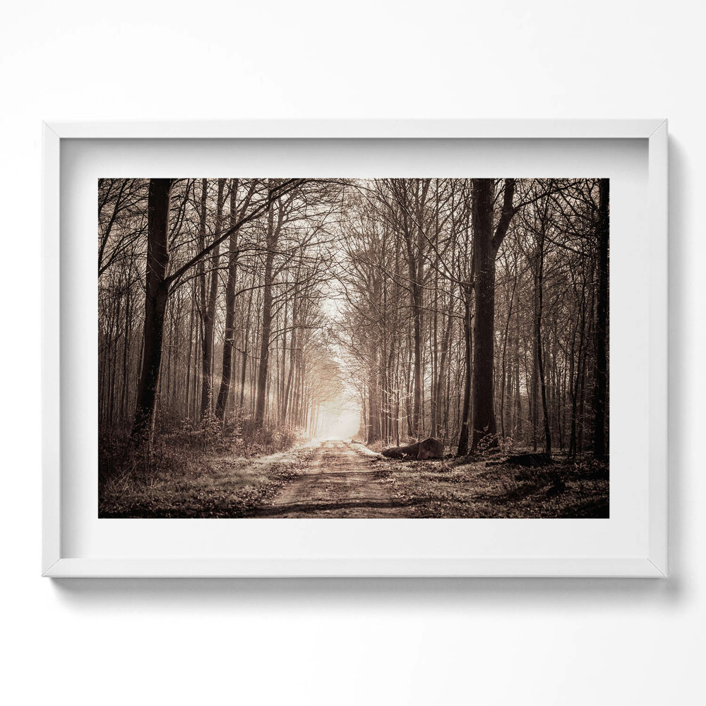 Tablou living cu rama excepţional Cale de pădure în tonuri sepia