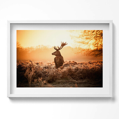 Tablou rama excepţional Cerb la răsărit