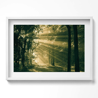 Tablou living cu rama excepţional Razele soarelui în pădure