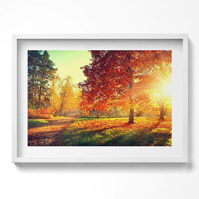 Tablou living cu rama excepţional Parc de toamnă