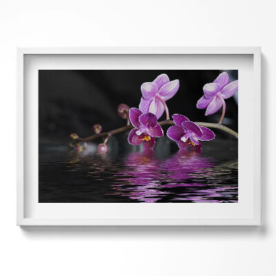 Tablou living cu rama excepţional Orhidee roz pe apă
